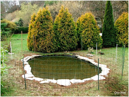 creation de bassin de jardin après